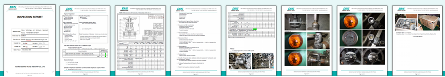 Dervos阀门检验报告
