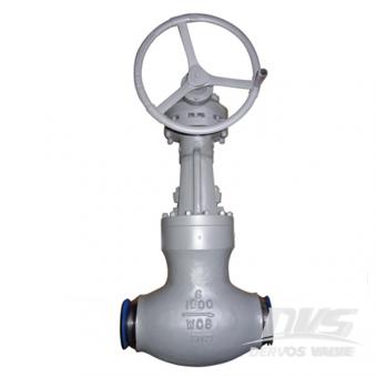 PSB Globe Valve BW 1500LB