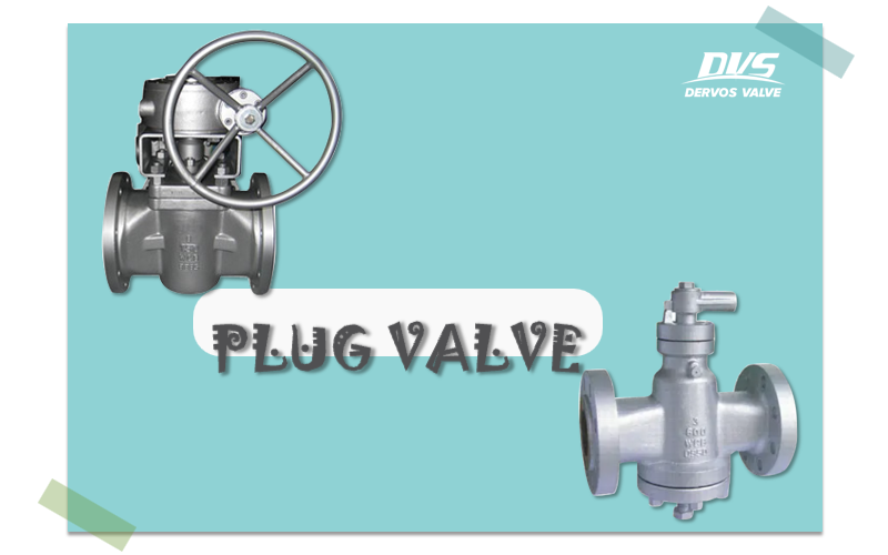 Performance Characteristics of Plug Valve